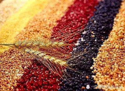 關于脫殼燕麥米那些你不知道的小知識 加工谷物產品的健康秘密