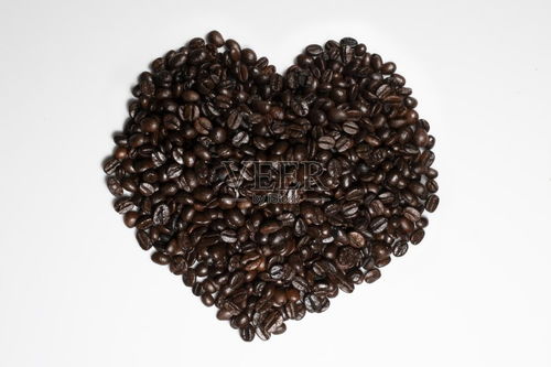 小雪節氣養生 6種黑色食物抗病防衰老，助你健康過冬